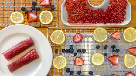 Fruit leather, fruit puree, and berries arranged on a food dehydrator tray